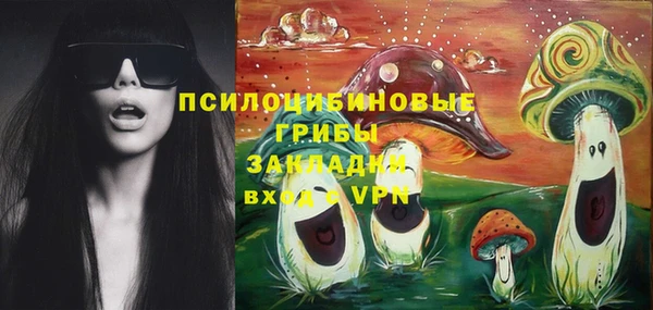молекула духа Всеволожск