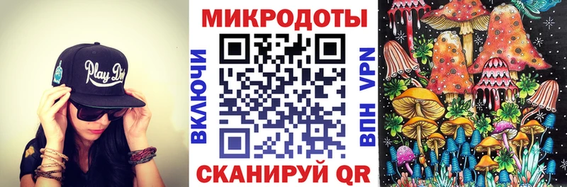 МЕГА как войти  где можно купить наркотик  Сортавала  Галлюциногенные грибы Psilocybe 